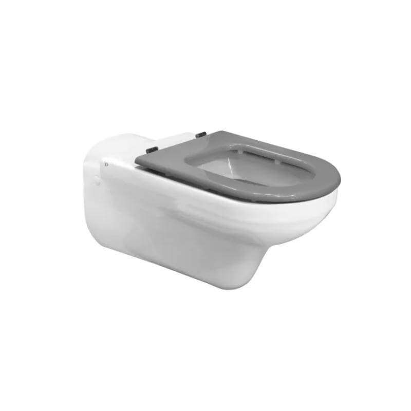 DC1300 Doc M Wall Mounted WC Pan And Seat