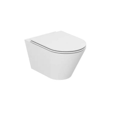DC2005 Wall Mounted Wc Pan And Seat By Dolphin