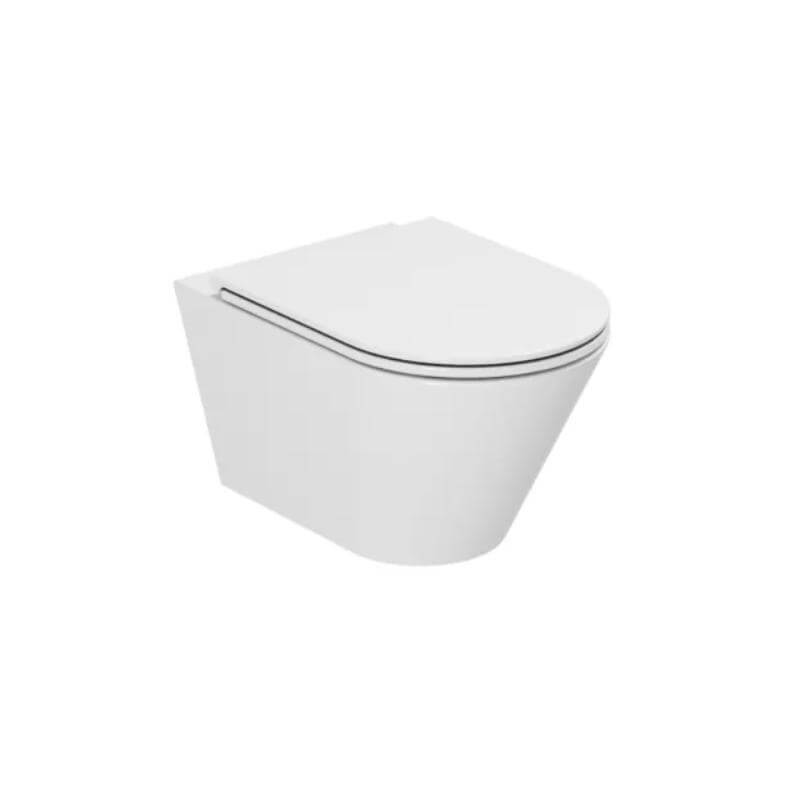 DC2005 Wall Mounted Wc Pan And Seat By Dolphin