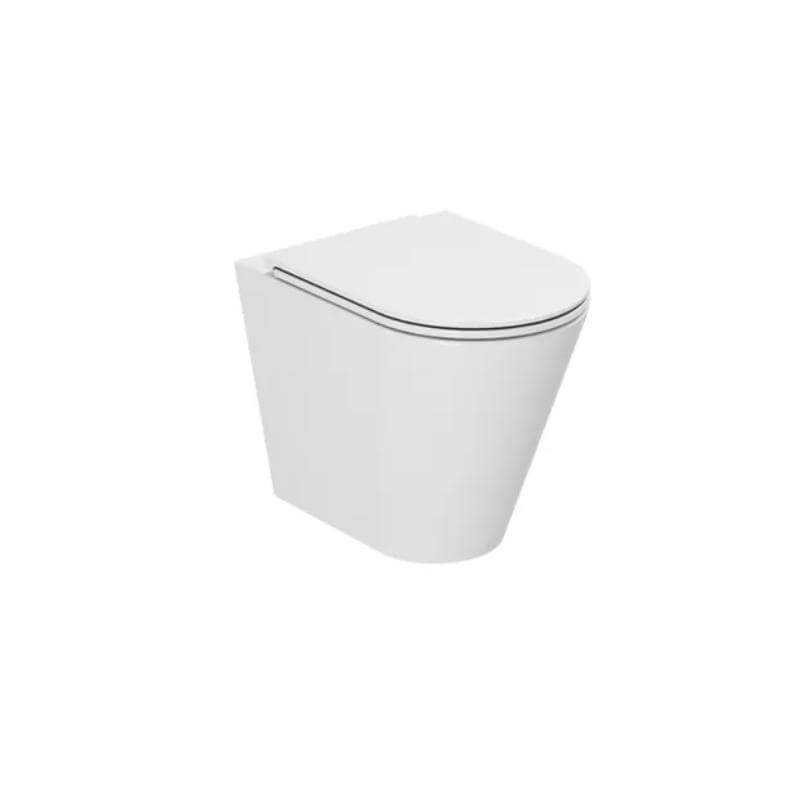 DC2006 Floor Mounted WC Pan And Seat By Dolphin