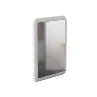 VR01-025 Anti Vandal, Ligature Resistant Mirror