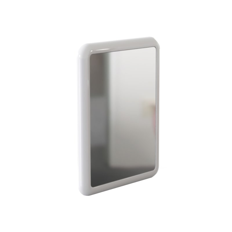 VR01-025 Anti Vandal, Ligature Resistant Mirror