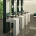 Delabie Binoptic Deck Mounted Tap Chrome Plated 250mm in Public Washroom