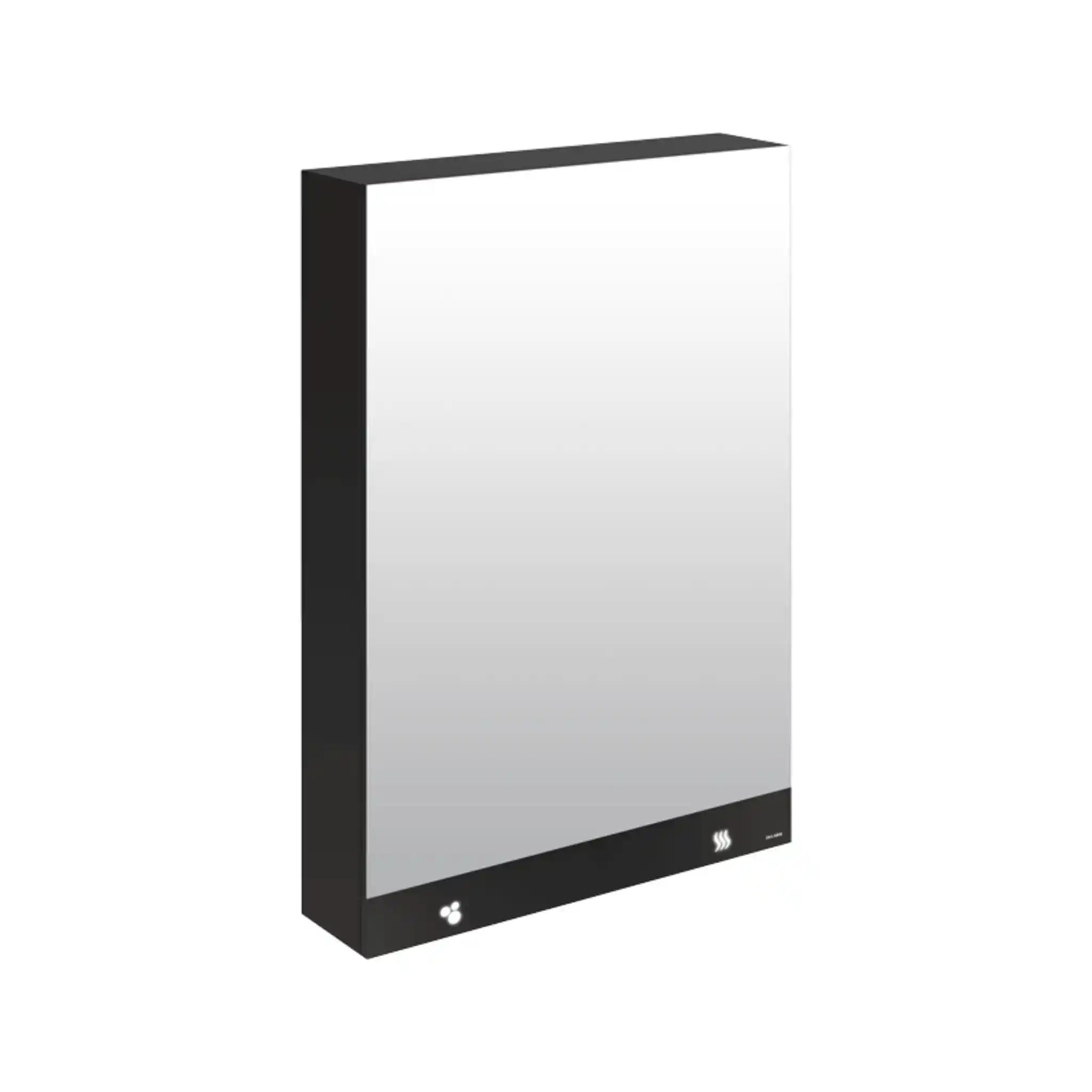 An image of Delabie Mirror Cabinet 3 in 1 600mm