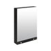 An image of Delabie Mirror Cabinet 3 in 1 600mm