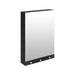 An image of Delabie Mirror Cabinet 4 in 1 Functions 600mm