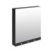 An image of Delabie Mirror Cabinet 4 in 1 Functions 800mm