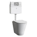 Mini Electronic Sensor in Ceramic Coating Dolphin Floor Mounted WC Set 
