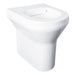 VR01-011 White Anti Vandal Accessible WC Pan