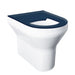 VR01-034 Blue Anti Vandal Back To Wall WC Pan