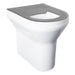 VR01-072 Grey Anti Vandal Accessible WC Pan