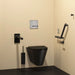 Delabie Wall Hung 700 S Accessible WC Matte Black in Washroom