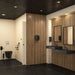 Delabie Wall Hung 700 S Accessible WC Matte Black in Public Washroom